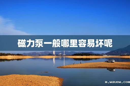 磁力泵一般哪里容易坏呢 磁力泵一般哪里容易坏呢