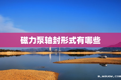 磁力泵轴封形式有哪些 磁力泵轴封形式有哪些