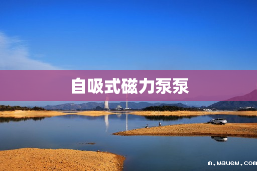 自吸式磁力泵泵 自吸式磁力泵泵