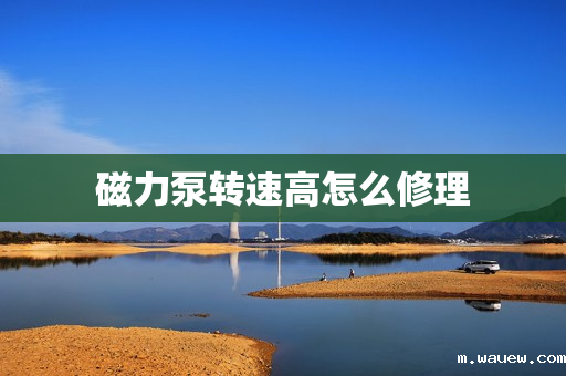 磁力泵转速高怎么修理 磁力泵转速高怎么修理