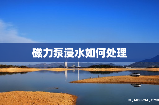 磁力泵浸水如何处理 磁力泵浸水如何处理