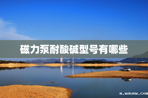 磁力泵耐酸碱型号有哪些 磁力泵耐酸碱型号有哪些