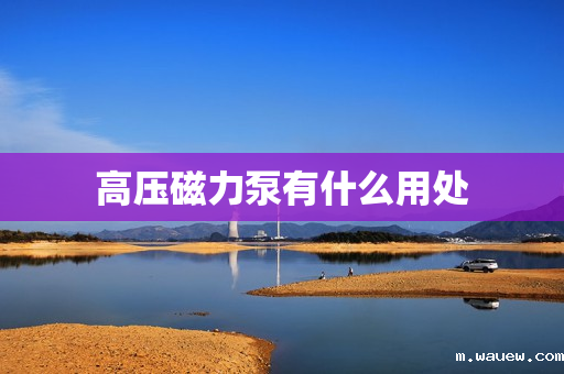 高压磁力泵有什么用处 高压磁力泵有什么用处