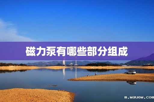 磁力泵有哪些部分组成 磁力泵有哪些部分组成