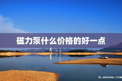 磁力泵什么价格的好一点 磁力泵什么价格的好一点