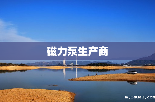 磁力泵生产商 磁力泵生产商