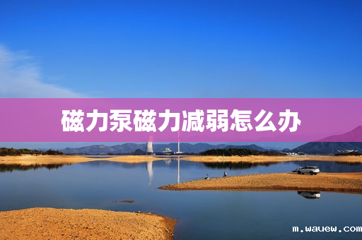 磁力泵磁力减弱怎么办 磁力泵磁力减弱怎么办