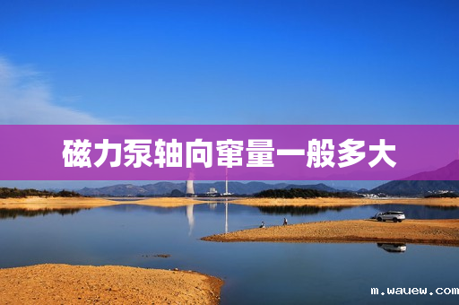 磁力泵轴向窜量一般多大 磁力泵轴向窜量一般多大