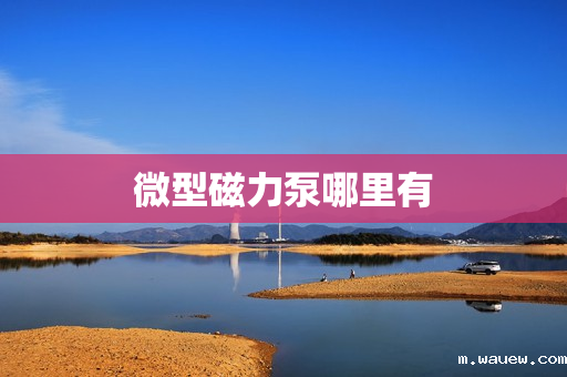 微型磁力泵哪里有 微型磁力泵哪里有