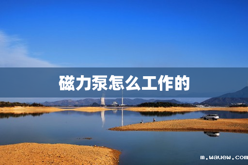 磁力泵怎么工作的 磁力泵怎么工作的