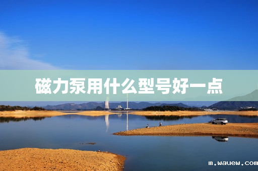 磁力泵用什么型号好一点 磁力泵用什么型号好一点