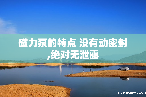 磁力泵的特点 没有动密封,绝对无泄露 磁力泵的特点 没有动密封,绝对无泄露