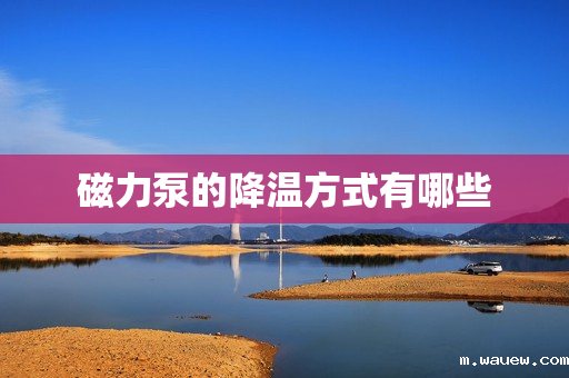 磁力泵的降温方式有哪些 磁力泵的降温方式有哪些