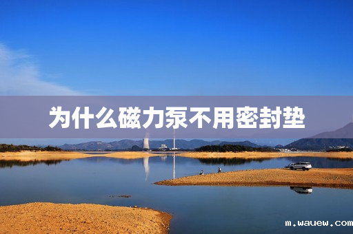 为什么磁力泵不用密封垫 为什么磁力泵不用密封垫