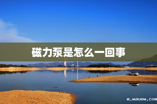 磁力泵是怎么一回事 磁力泵是怎么一回事