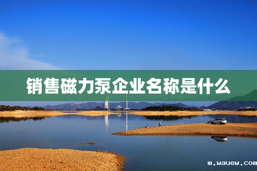 销售磁力泵企业名称是什么 销售磁力泵企业名称是什么
