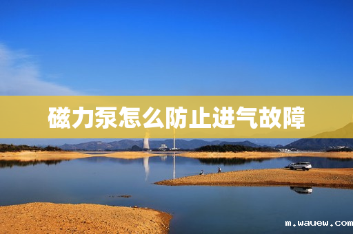 磁力泵怎么防止进气故障 磁力泵怎么防止进气故障