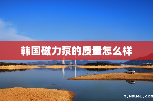 韩国磁力泵的质量怎么样 韩国磁力泵的质量怎么样