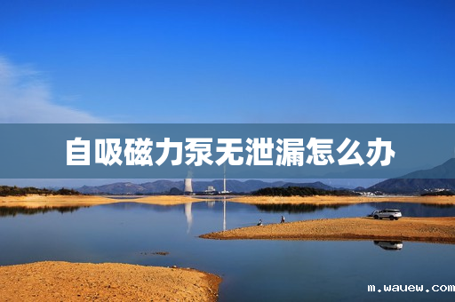 自吸磁力泵无泄漏怎么办 自吸磁力泵无泄漏怎么办