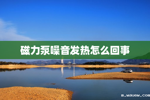 磁力泵噪音发热怎么回事 磁力泵噪音发热怎么回事