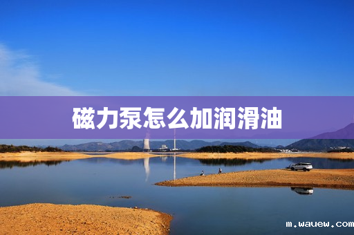 磁力泵怎么加润滑油 磁力泵怎么加润滑油