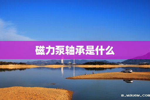 磁力泵轴承是什么 磁力泵轴承是什么