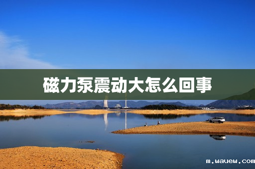 磁力泵震动大怎么回事 磁力泵震动大怎么回事