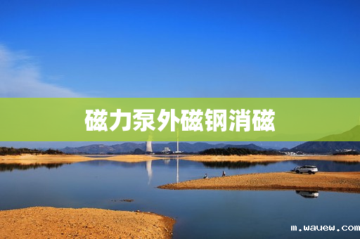 磁力泵外磁钢消磁 磁力泵外磁钢消磁