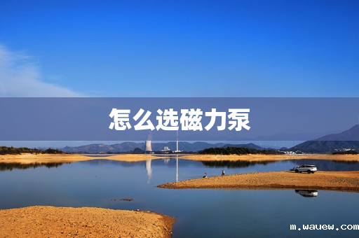 怎么选磁力泵 怎么选磁力泵