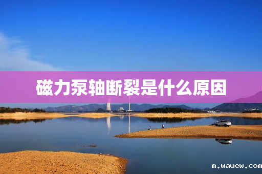 磁力泵轴断裂是什么原因 磁力泵轴断裂是什么原因