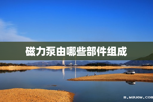 磁力泵由哪些部件组成 磁力泵由哪些部件组成