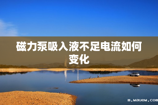 磁力泵吸入液不足电流如何变化 磁力泵吸入液不足电流如何变化
