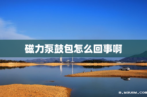 磁力泵鼓包怎么回事啊 磁力泵鼓包怎么回事啊