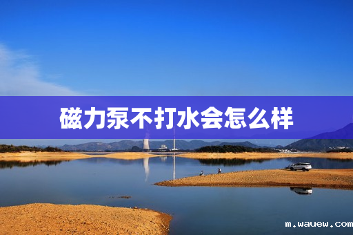 磁力泵不打水会怎么样 磁力泵不打水会怎么样