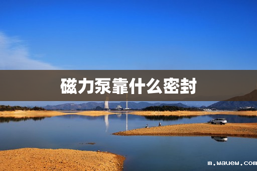 磁力泵靠什么密封 磁力泵靠什么密封