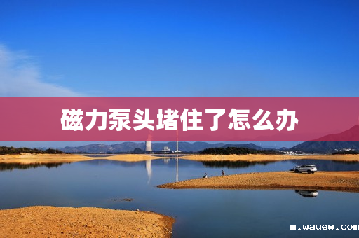 磁力泵头堵住了怎么办 磁力泵头堵住了怎么办