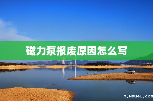 磁力泵报废原因怎么写 磁力泵报废原因怎么写