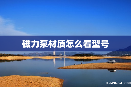 磁力泵材质怎么看型号 磁力泵材质怎么看型号