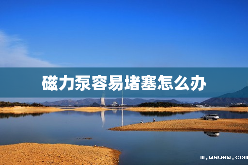 磁力泵容易堵塞怎么办 磁力泵容易堵塞怎么办