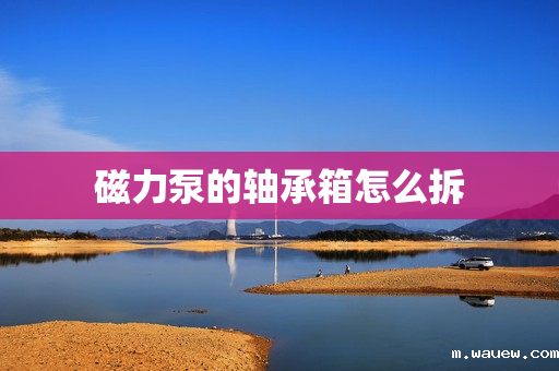 磁力泵的轴承箱怎么拆 磁力泵的轴承箱怎么拆