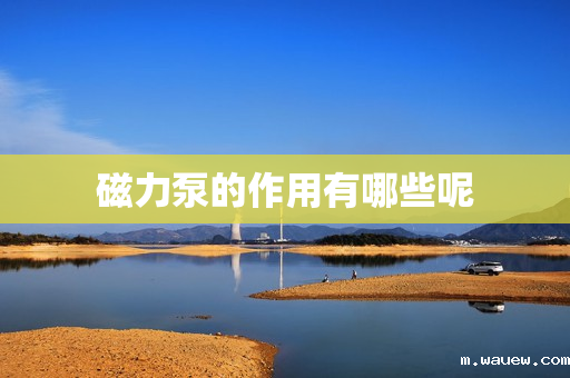 磁力泵的作用有哪些呢 磁力泵的作用有哪些呢