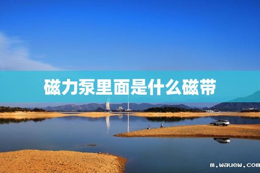 磁力泵里面是什么磁带 磁力泵里面是什么磁带