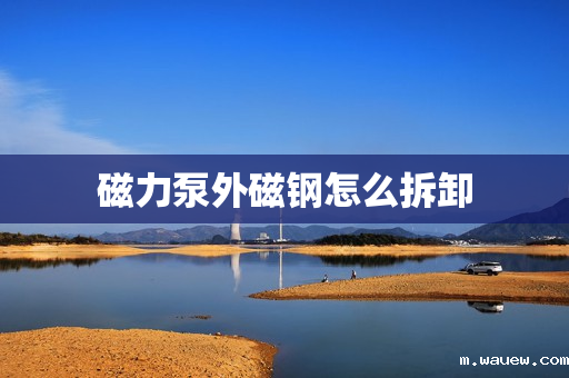 磁力泵外磁钢怎么拆卸 磁力泵外磁钢怎么拆卸