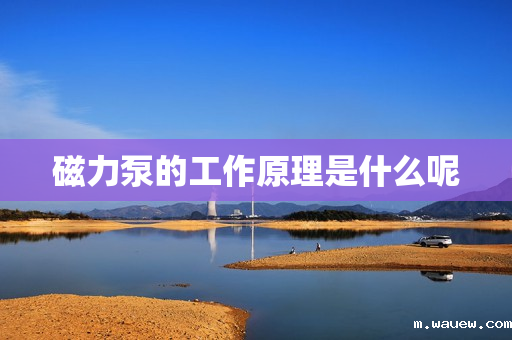 磁力泵的工作原理是什么呢 磁力泵的工作原理是什么呢