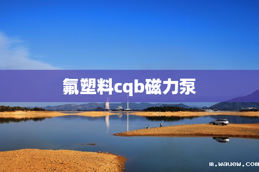 氟塑料cqb磁力泵 氟塑料cqb磁力泵