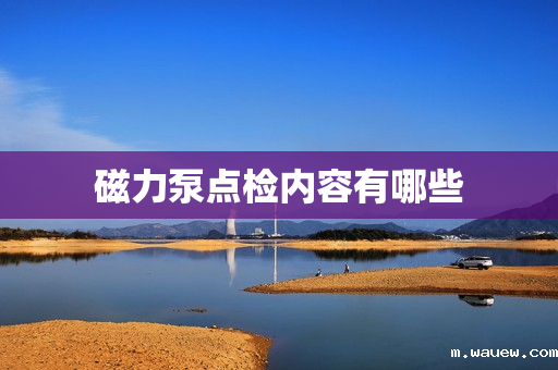 磁力泵点检内容有哪些 磁力泵点检内容有哪些