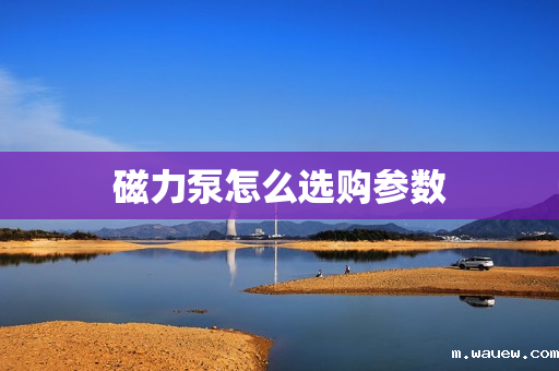 磁力泵怎么选购参数 磁力泵怎么选购参数