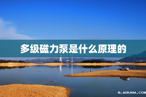 多级磁力泵是什么原理的 多级磁力泵是什么原理的