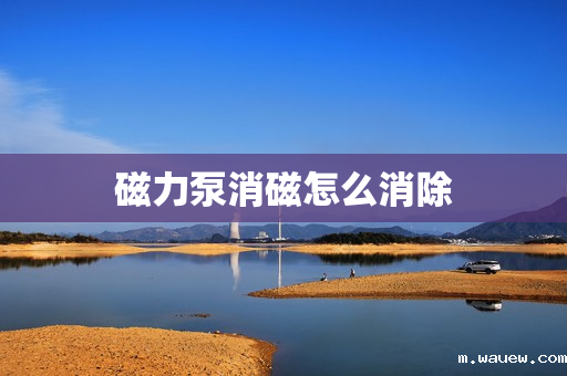磁力泵消磁怎么消除 磁力泵消磁怎么消除