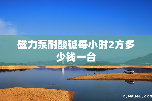 磁力泵耐酸碱每小时2方多少钱一台 磁力泵耐酸碱每小时2方多少钱一台